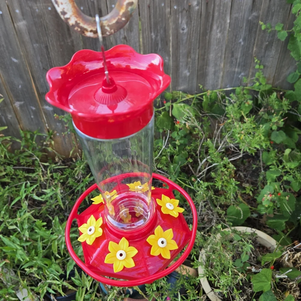Easy Clean Hummingbird Feeder with ant guard